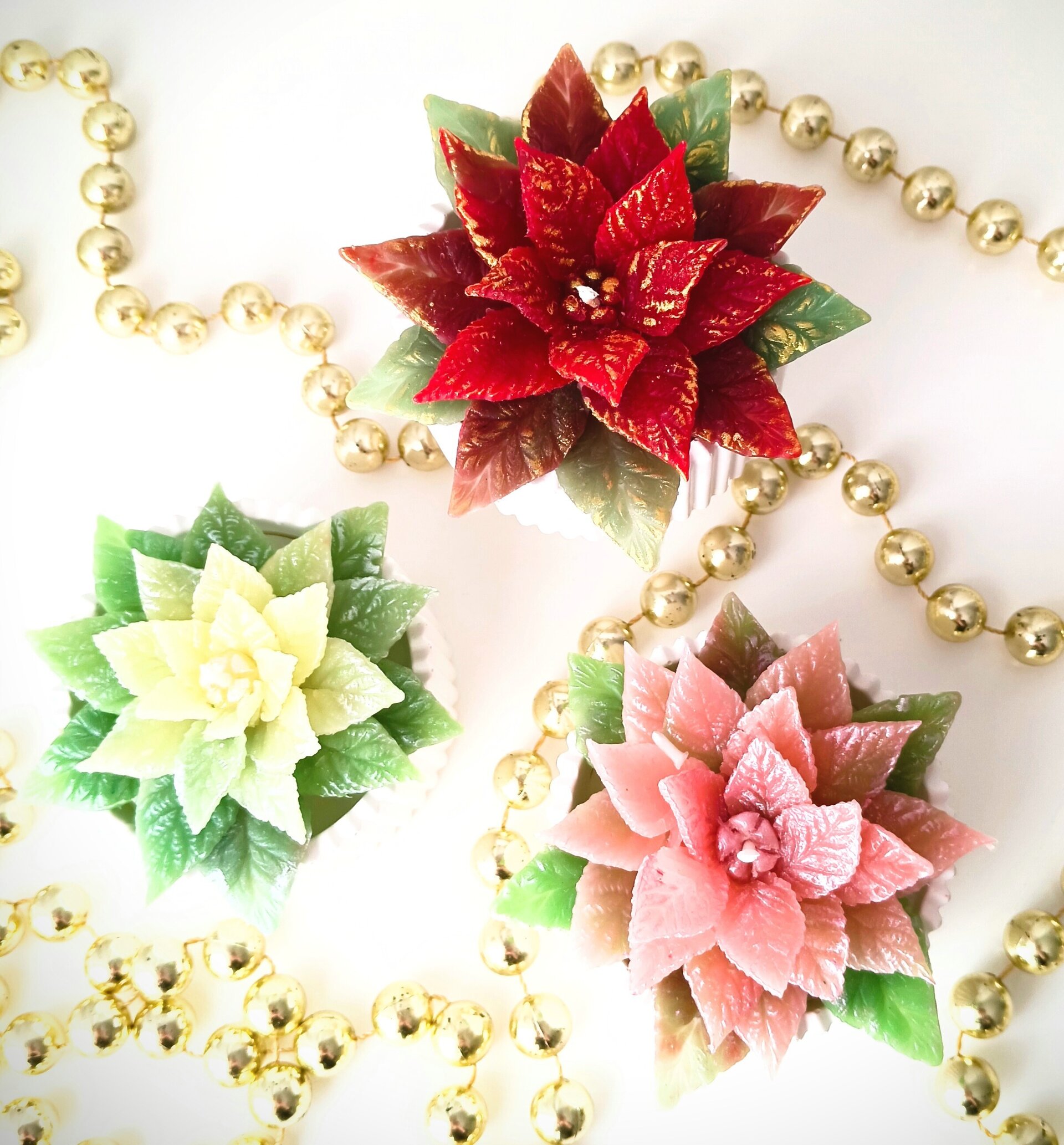 Velas Poinssetia en maceta - 4