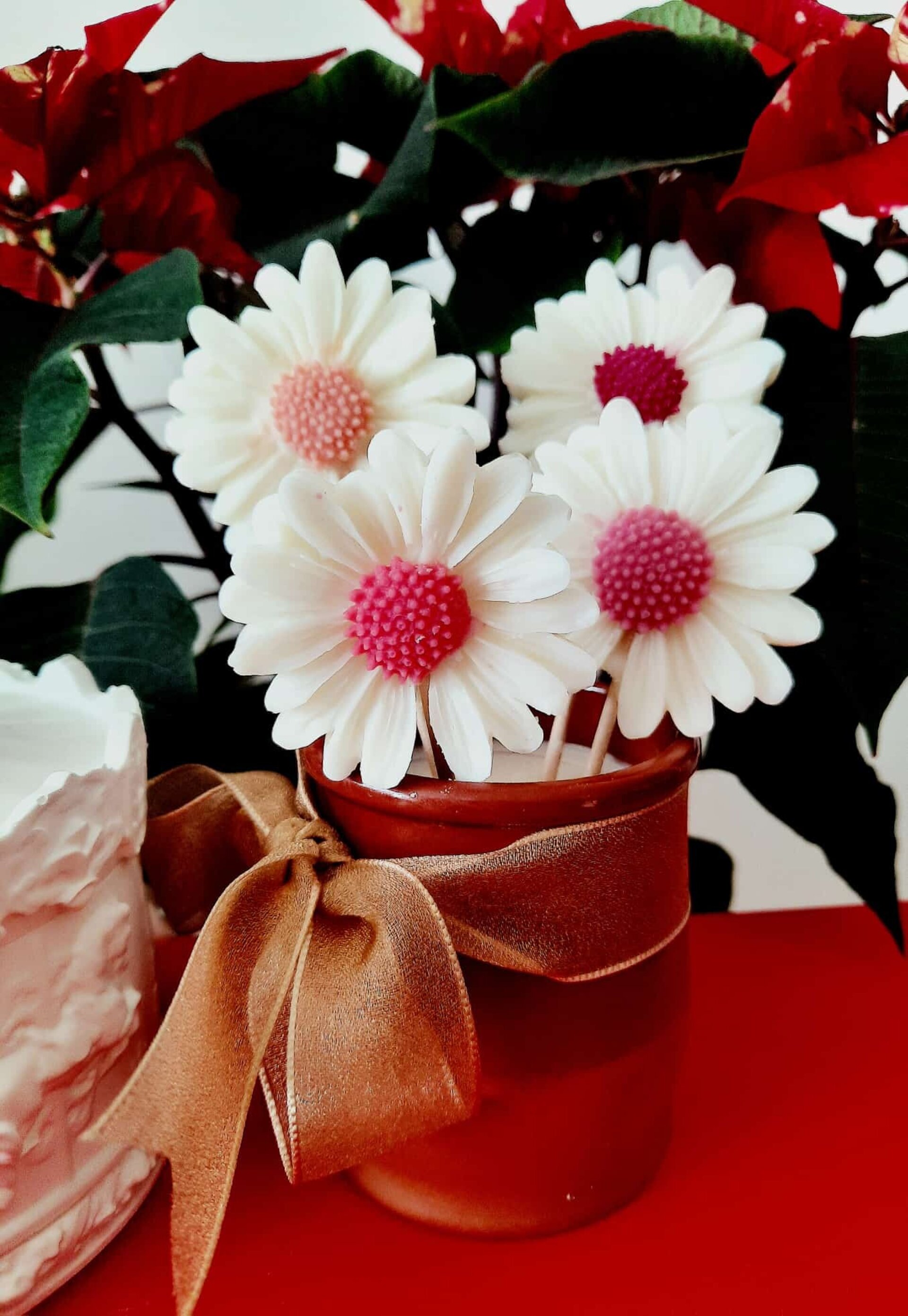 Maceta Margaritas - 2