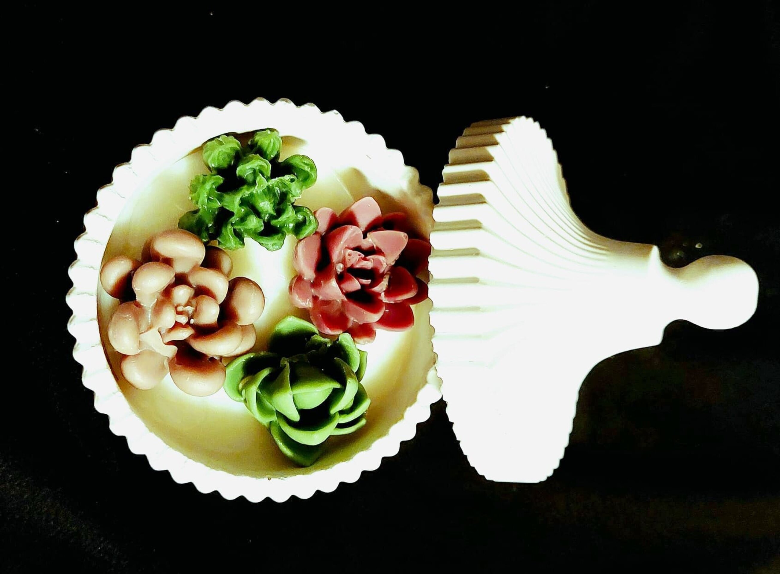 Bombonera Cactus - 2