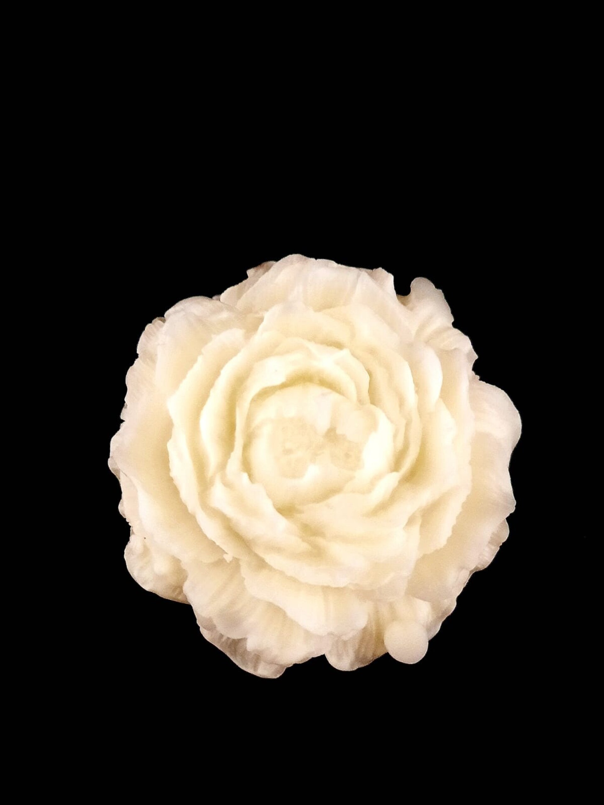 Peonía perfumada - 3