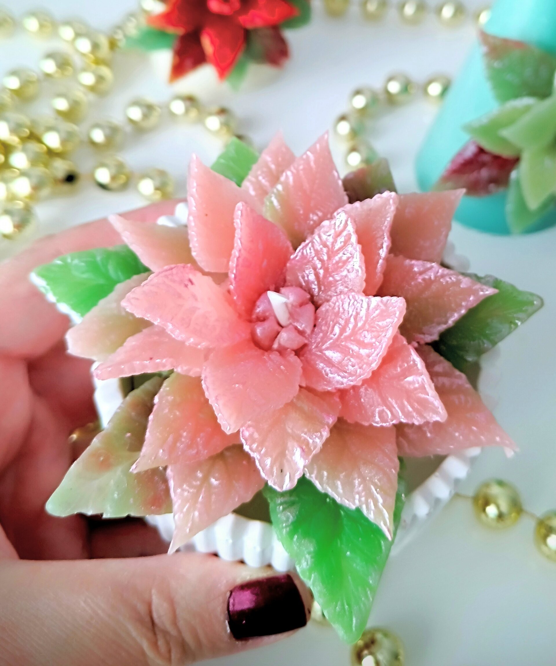 Velas Poinssetia en maceta - 3